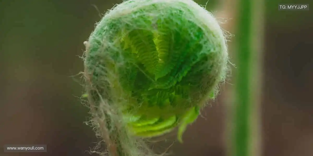 ⚡️ 实时比分，掌握赛事脉搏！